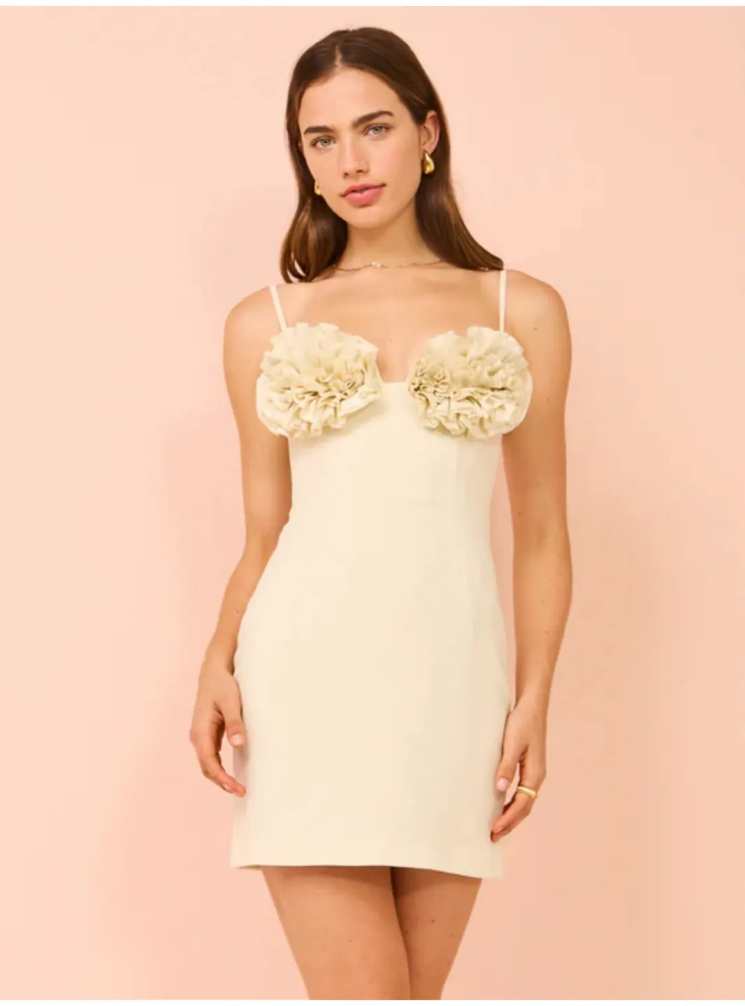Rachel Gilbert Margot Mini Dress in Coconut Size 1 / AU 8 for rent on The Volte - main image