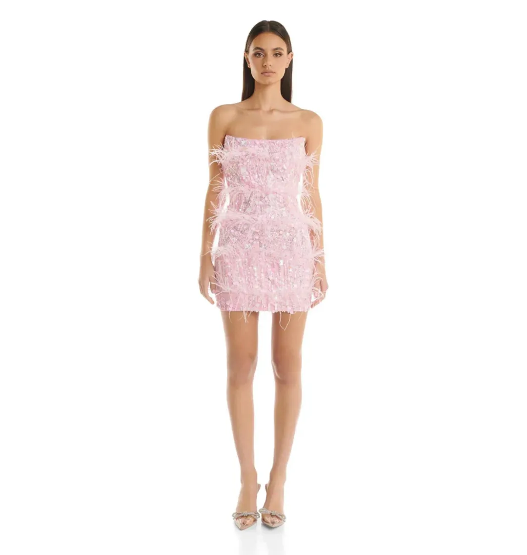 Eliya The Label Tiffany Mini Dress Pink Size XS / AU 6  for rent on The Volte - main image