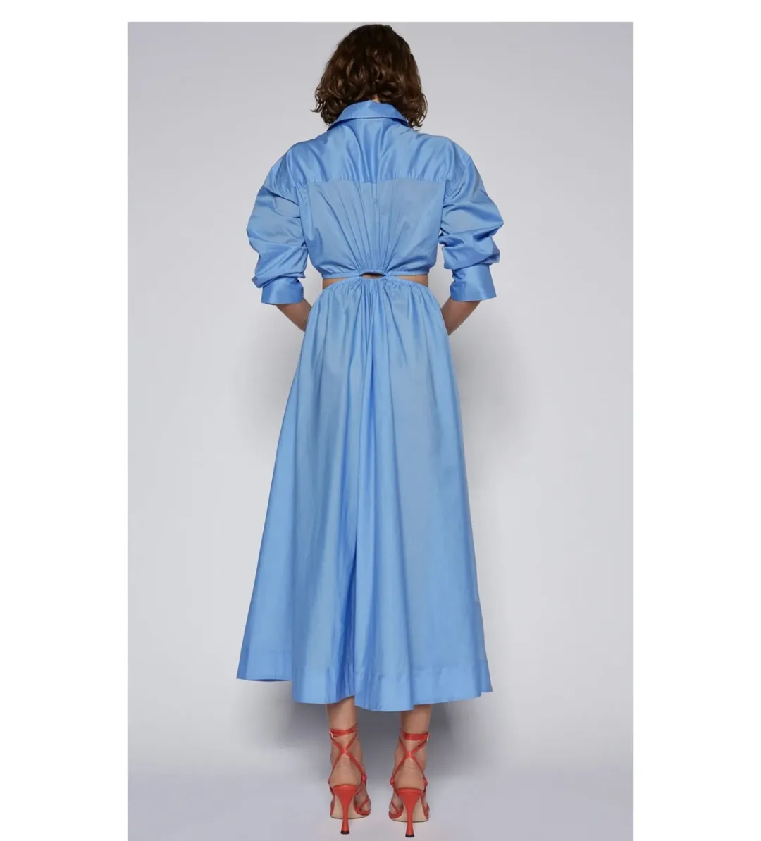 Scanlan Theodore Cotton Ring Dress Blue  Size 12 for rent on The Volte - main image