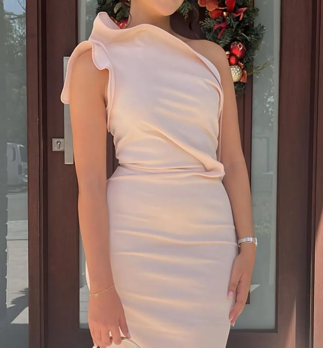 Maticevski Instrumental Gown Blush Pink Size 10  for rent on The Volte - main image