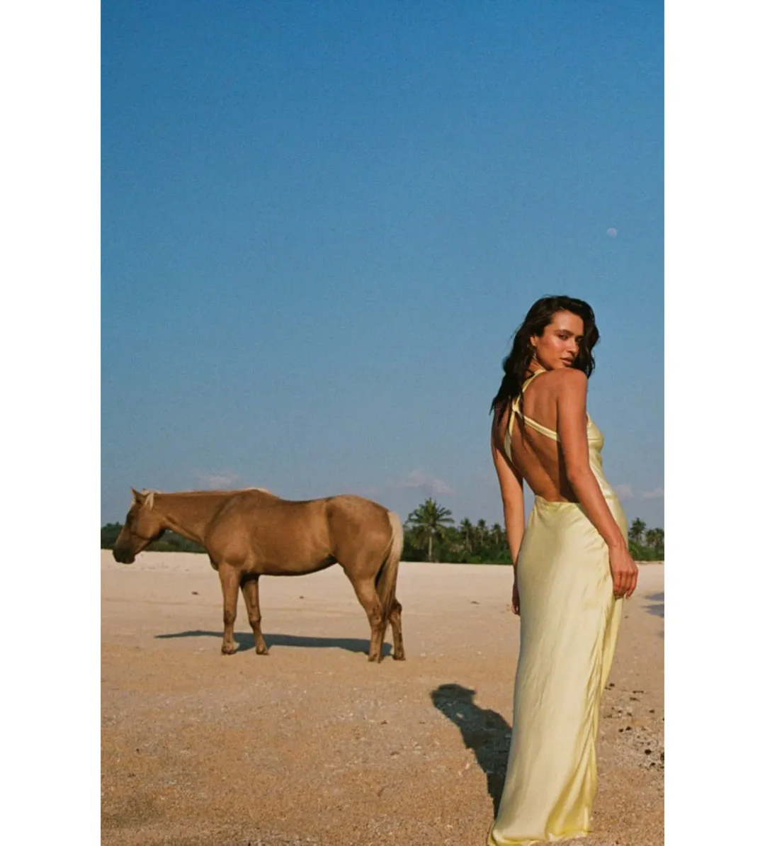 Turquoise lane  Andie Dress in Lemon Yellow Size S / AU 8 for rent on The Volte - main image