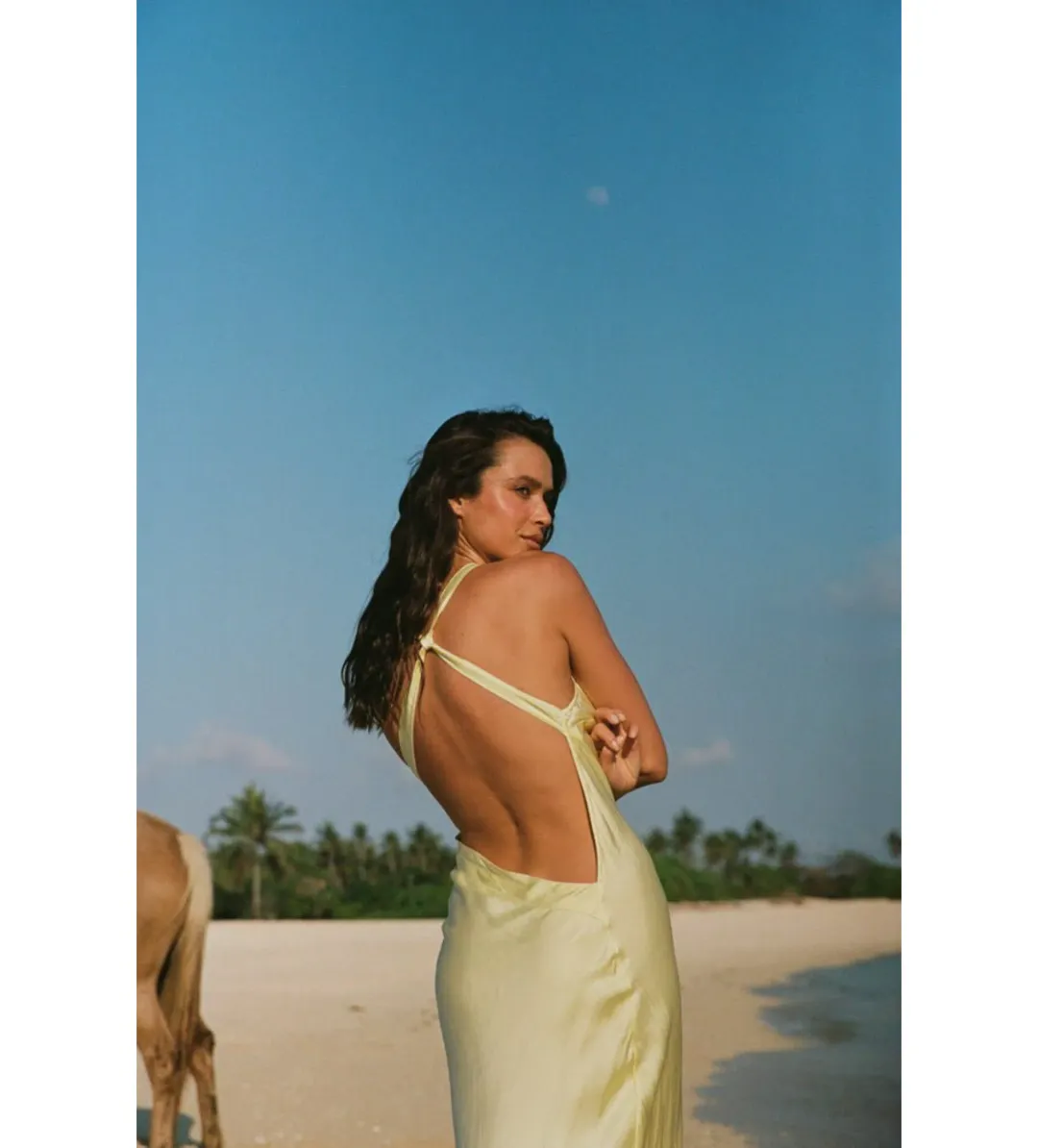 Turquoise lane  Andie Dress in Lemon Yellow Size S / AU 8 for rent on The Volte - main image