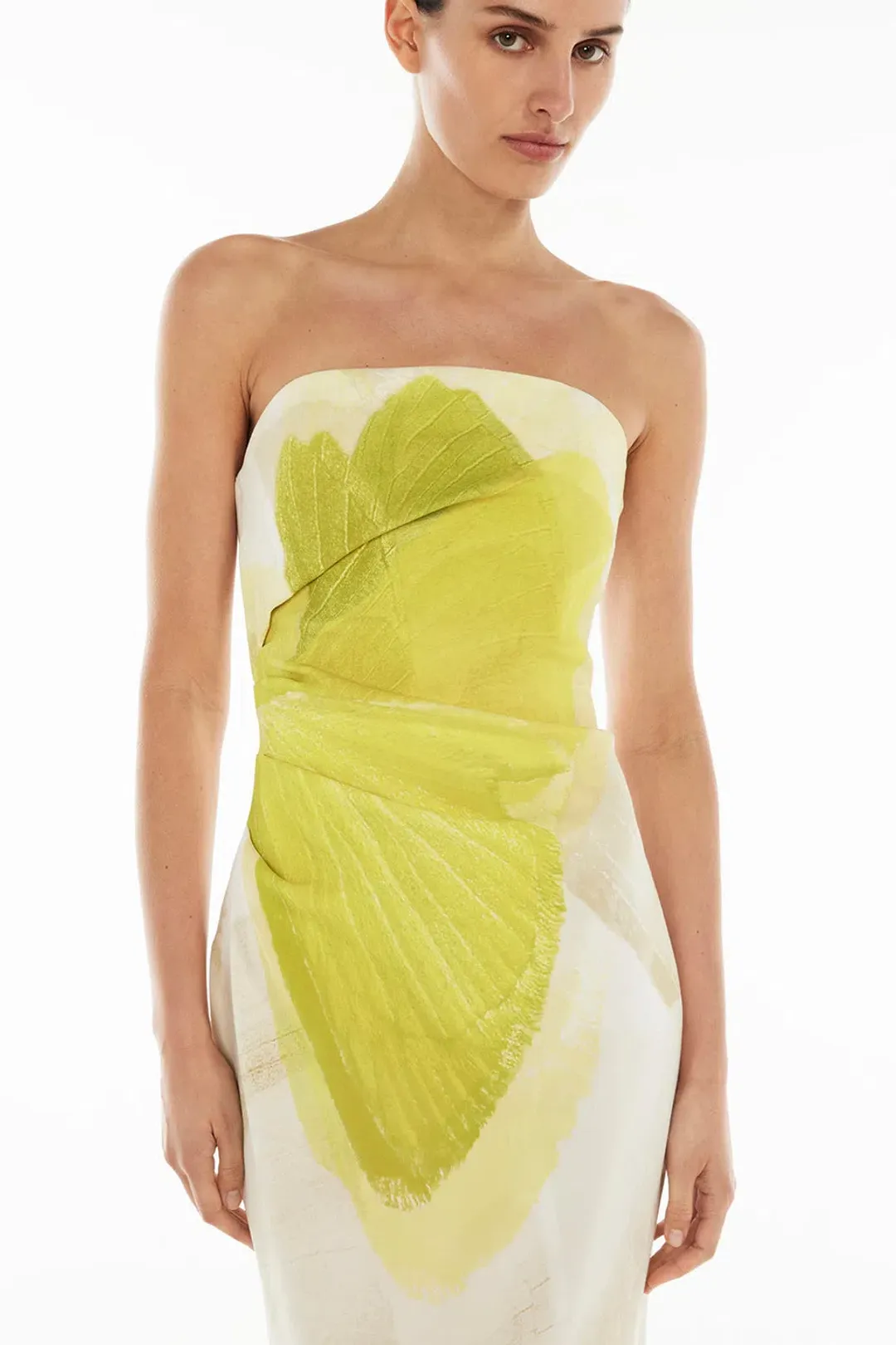 MANNING CARTEL LEVITATING BUTTERFLIES MIDI DRESS for rent on The Volte - main image