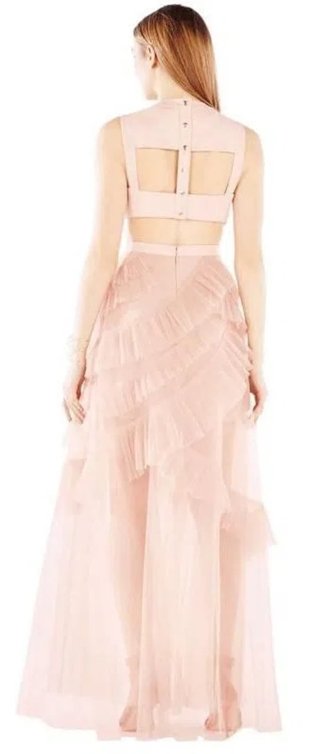 BCBGMAXAZRIA Avalon Gown Blush Size 0 / AU 6 for rent on The Volte - main image