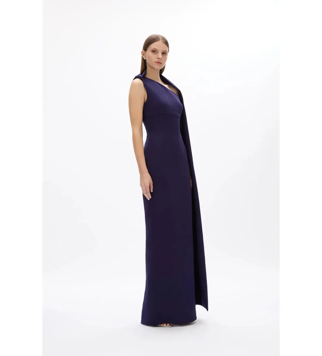 Rachel Gilbert Clara Gown Dress Dark Indigo Dark Purple Size 0 / AU 6 for rent on The Volte - main image