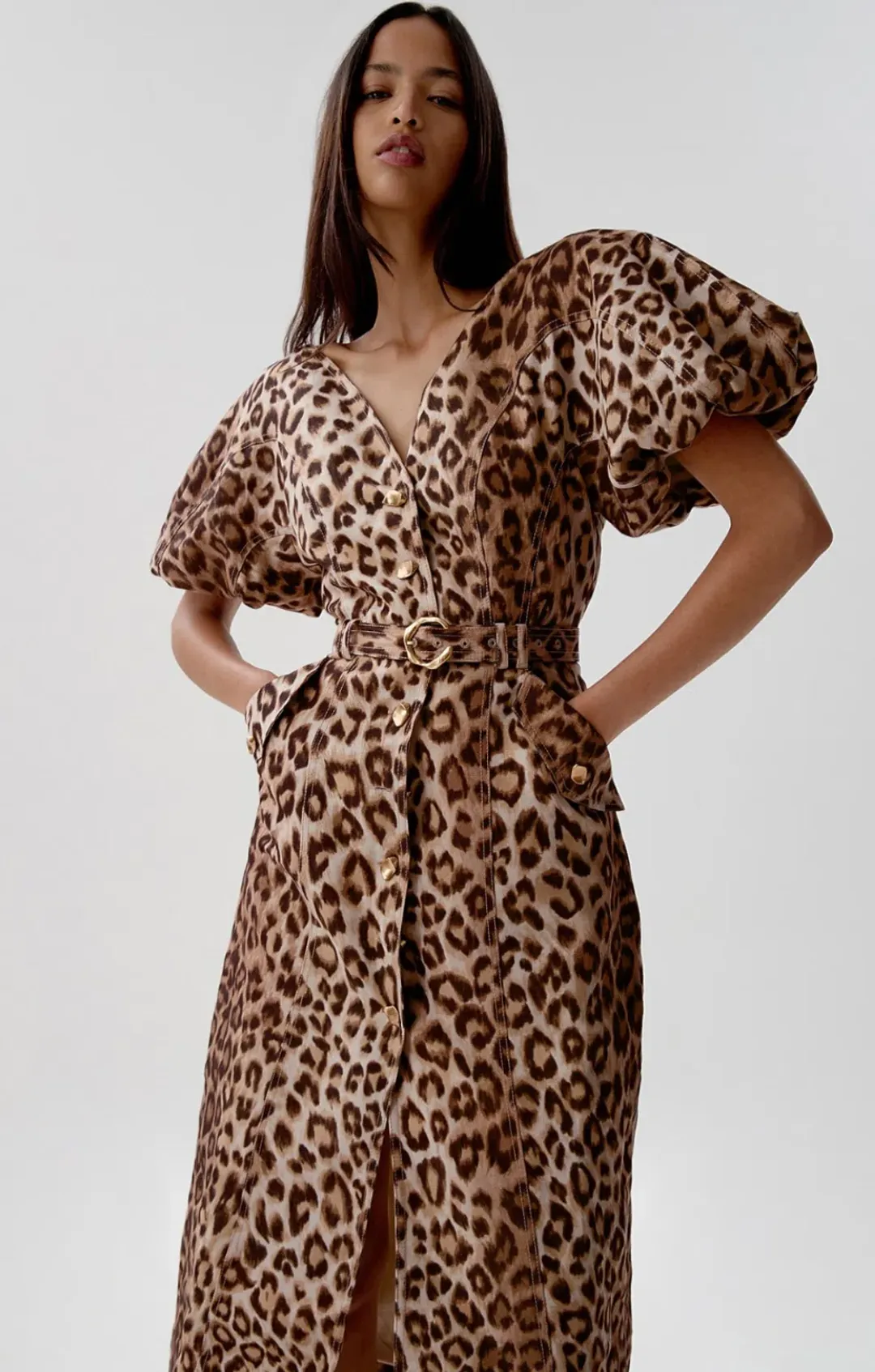 Aje Isabella Shirtdress in Leopard Print Size AU 14 for rent on The Volte - main image