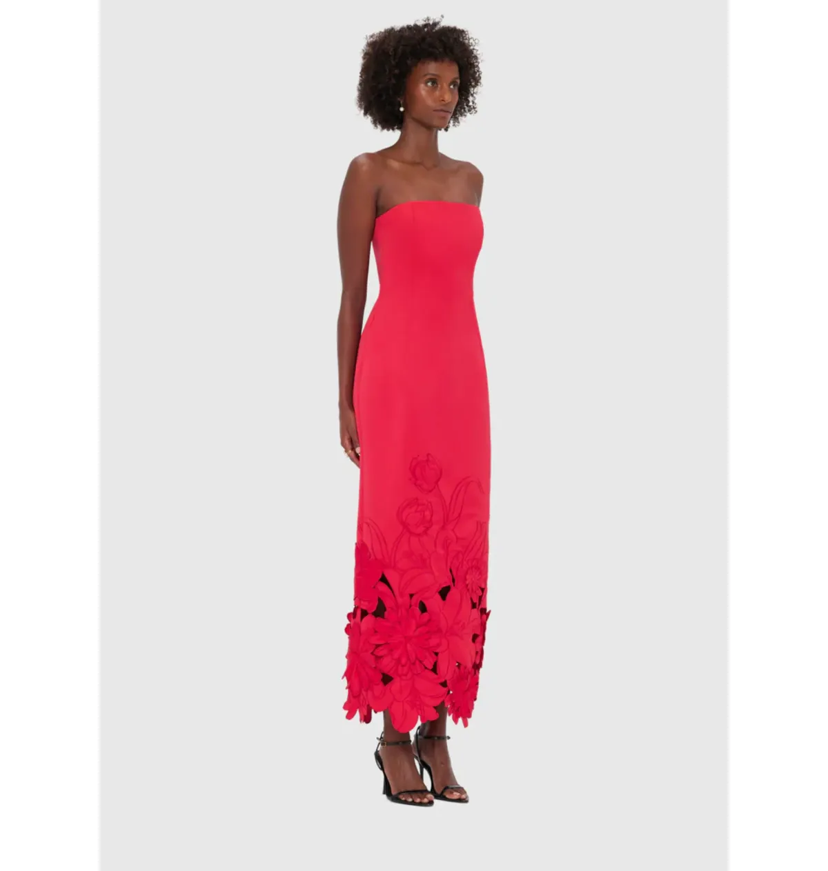 Leo Lin Rayna Appliqué Bustier Maxi Dress Rosa Size 12 - Image 2