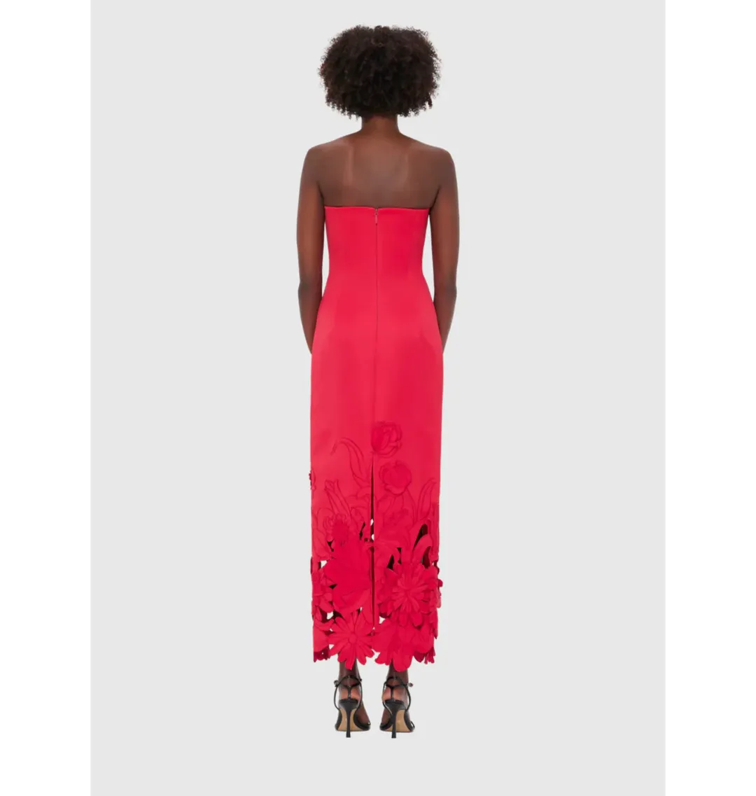 Leo Lin Rayna Appliqué Bustier Maxi Dress Rosa Size 12 for rent on The Volte - main image