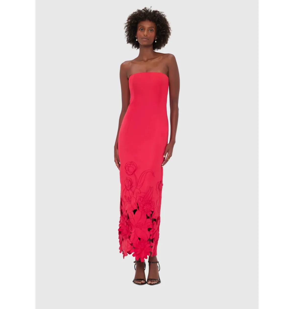 Leo Lin Rayna Appliqué Bustier Maxi Dress Rosa Size 12 - Image 1