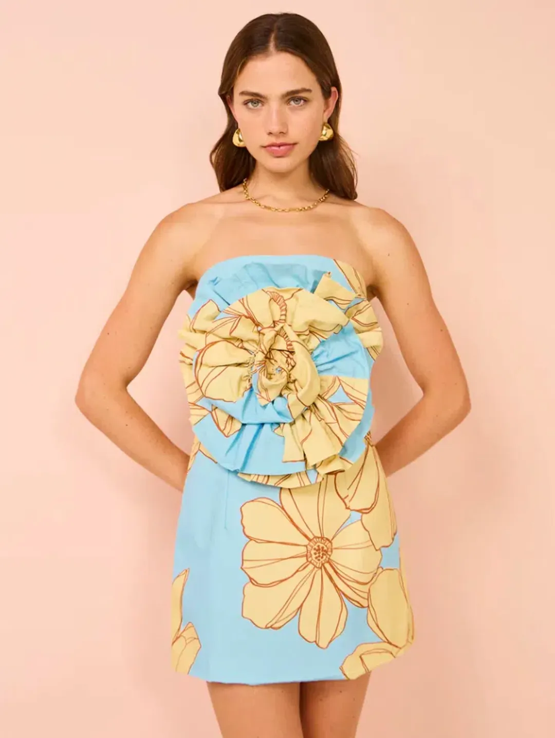 Issy Rose Bodice Mini Size AU 6 for rent on The Volte - main image