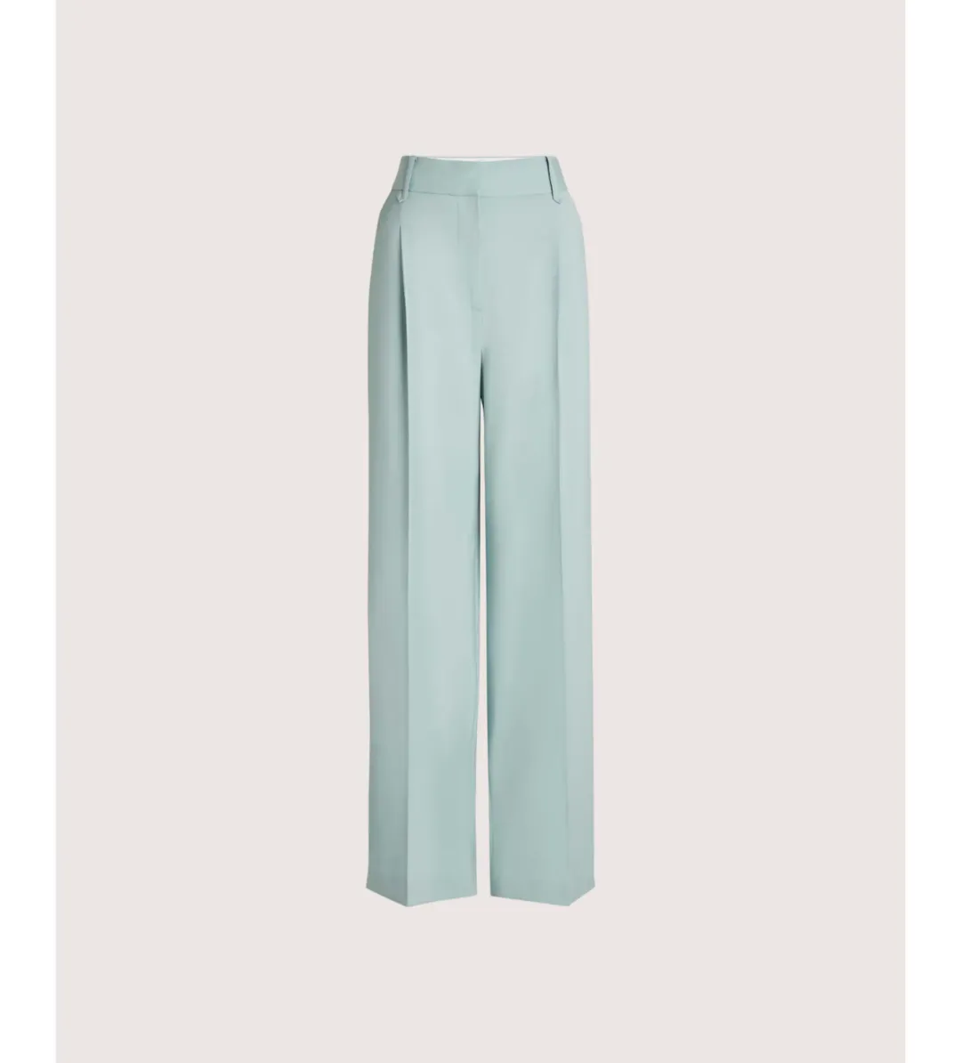 Saba Suki Wide Leg Pant Seafoam Size 12 for rent on The Volte - main image