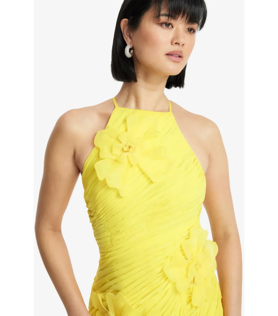 Leo Lin Amya Floral Appliqué Maxi Gown in Sunshine Size AU 8 for rent on The Volte - main image