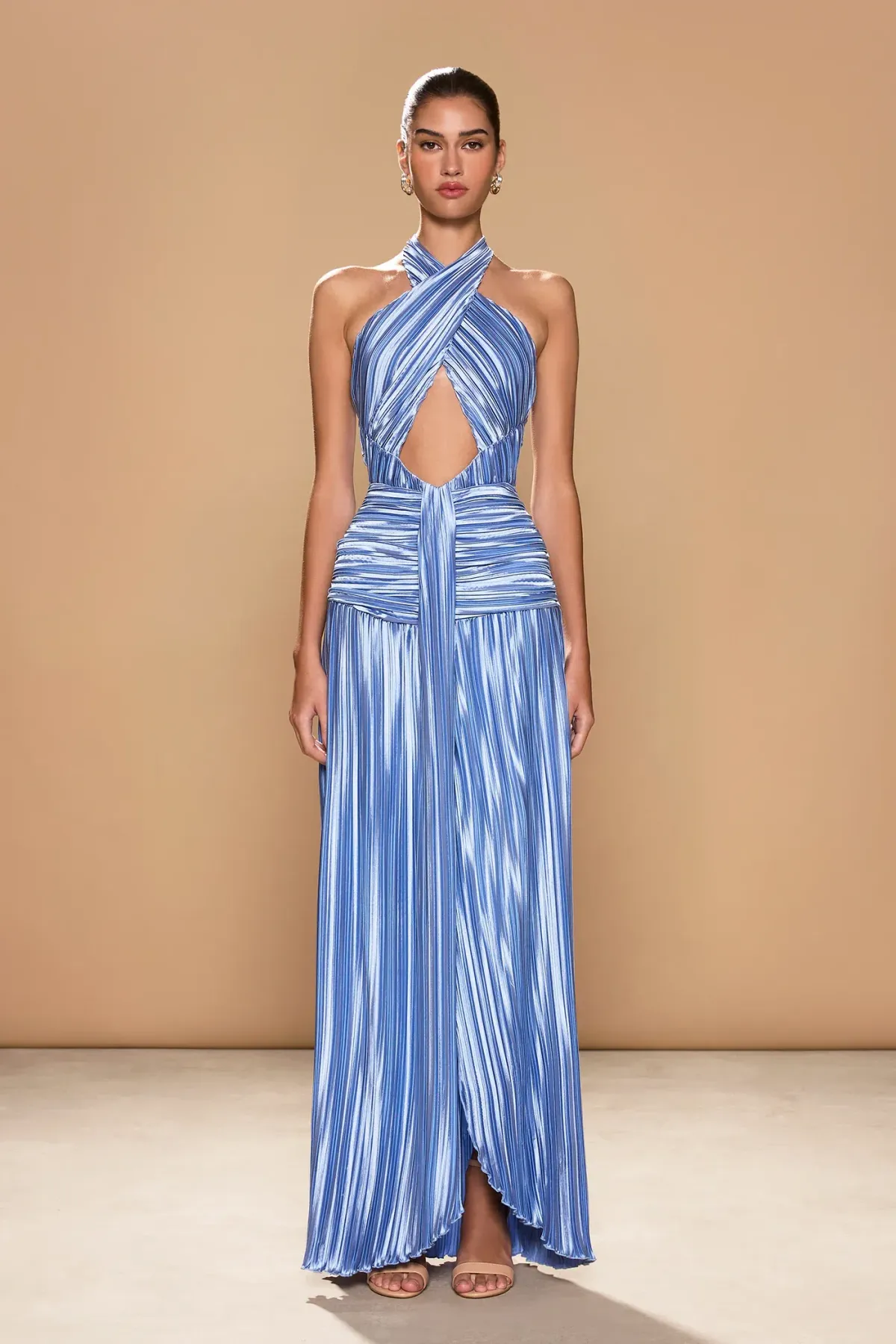 Ariana Plissé Maxi Dress Print Size 8 - Image 1