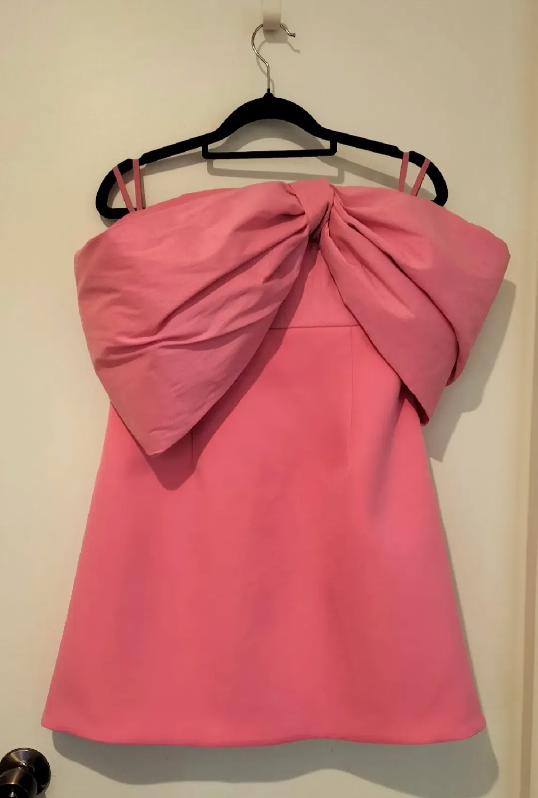 Rachel Gilbert Kace Mini Dress Pink Size 2 / AU 10 for rent on The Volte - main image