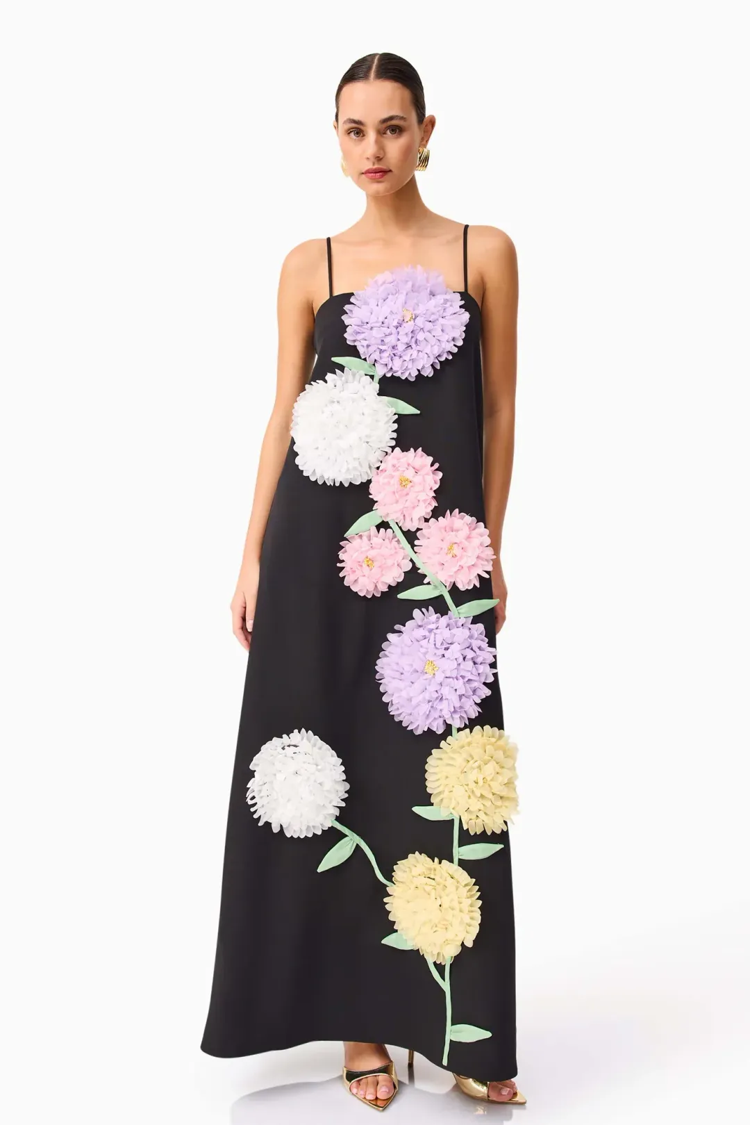 Elliatt Buttercup Embroidered Maxi Dress size 8 Black for rent on The Volte - main image