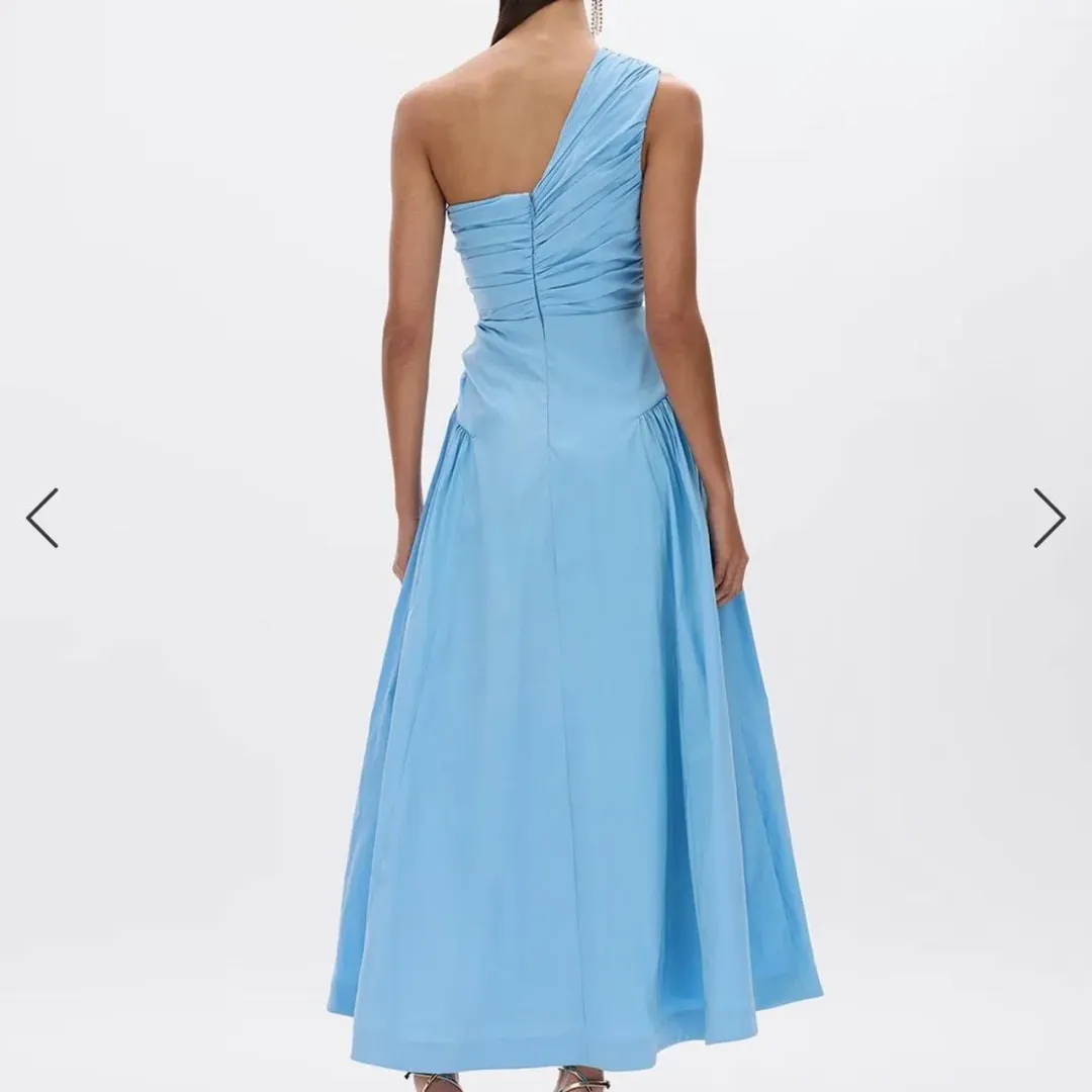 Rachel Gilbert Banksia Midi Dress Size 3/AU 12 for rent on The Volte - main image