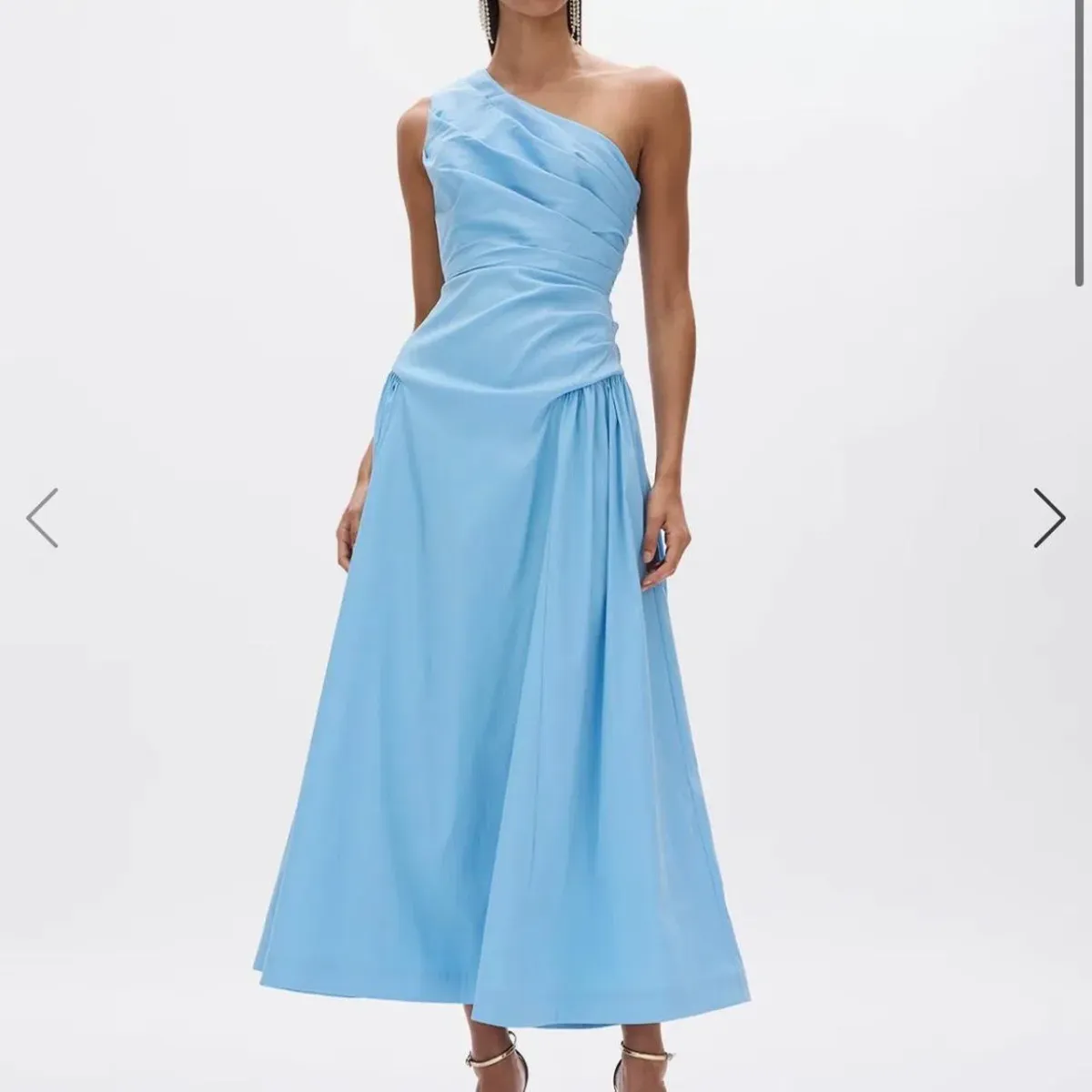 Rachel Gilbert Banksia Midi Dress Size 3/AU 12 - Image 1