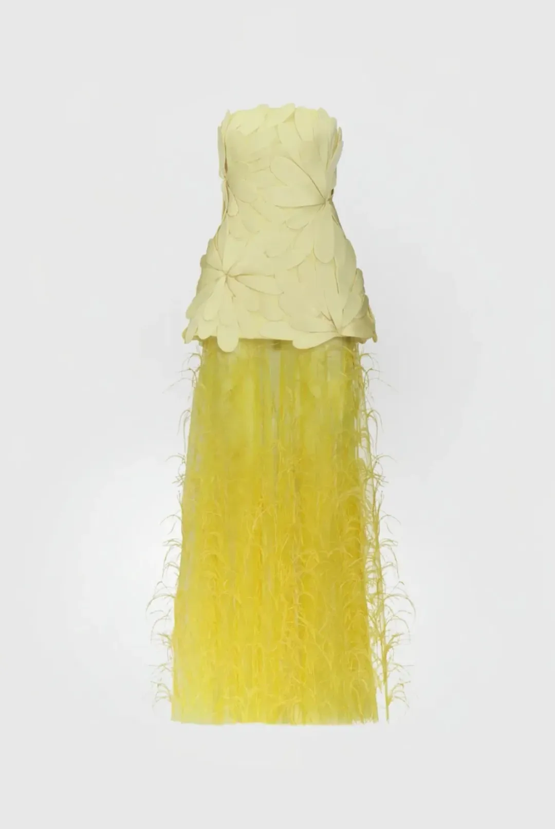 Justin Tong Marisol Applique Gown Yellow Feather Sheer Dress Size 10 for rent on The Volte - main image