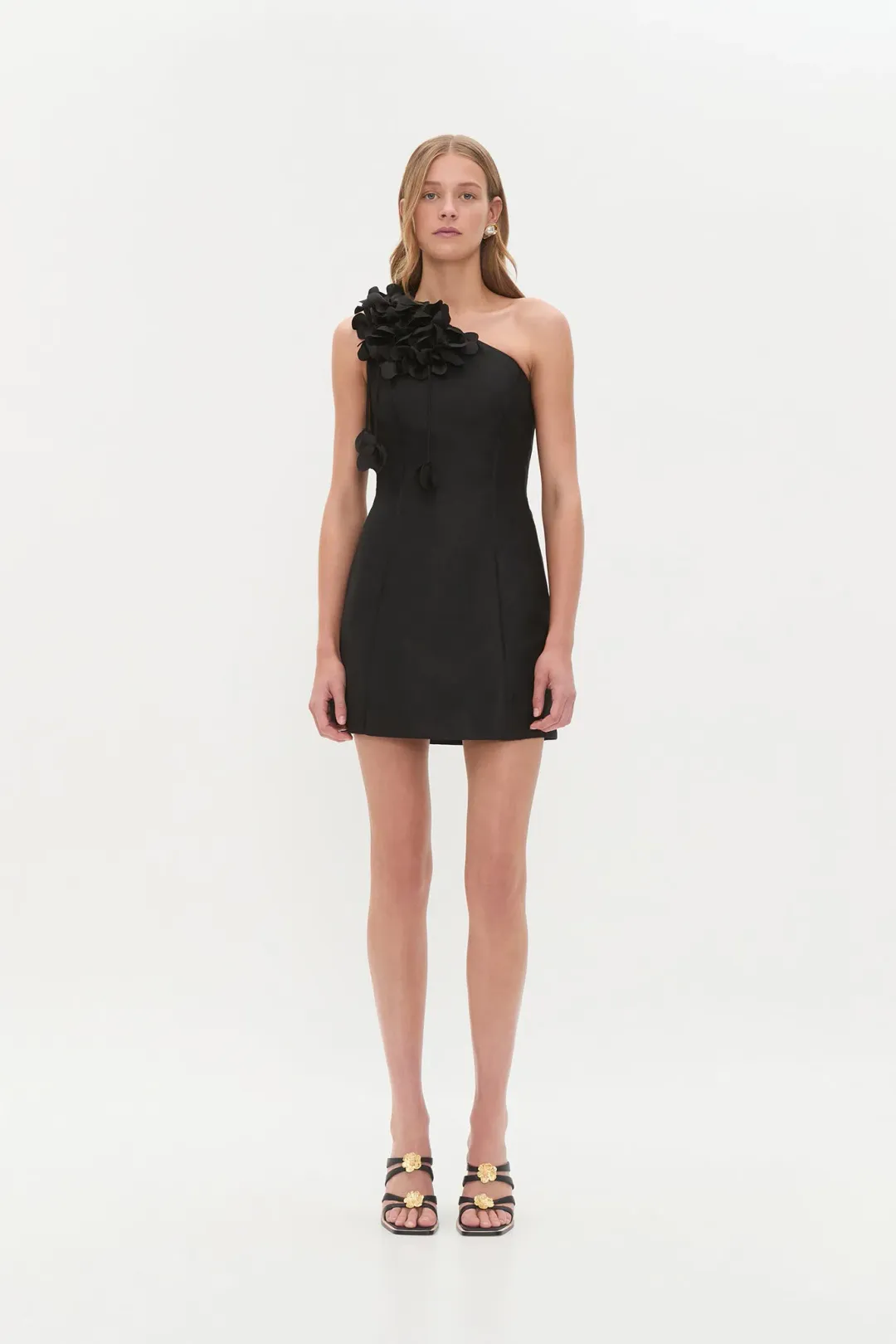 AJE Camille Mini Dress 14 for rent on The Volte - main image