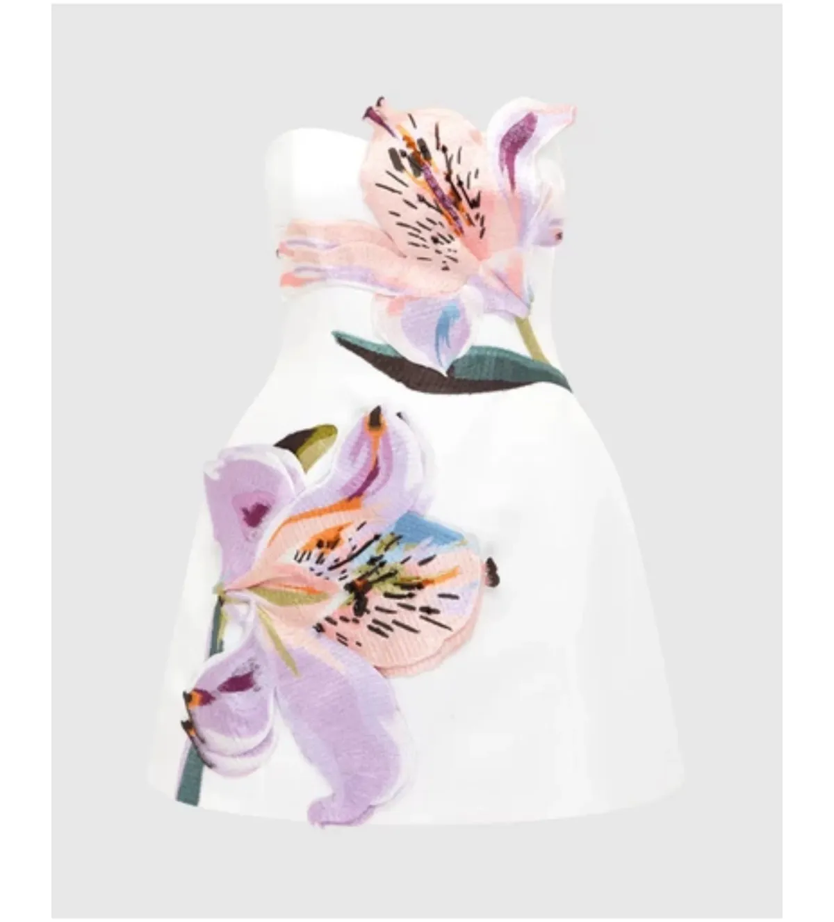 Leo Lin Rosario Appliqué Floral Bustier Mini Dress Lily Print in Snow Size 12 - Image 5