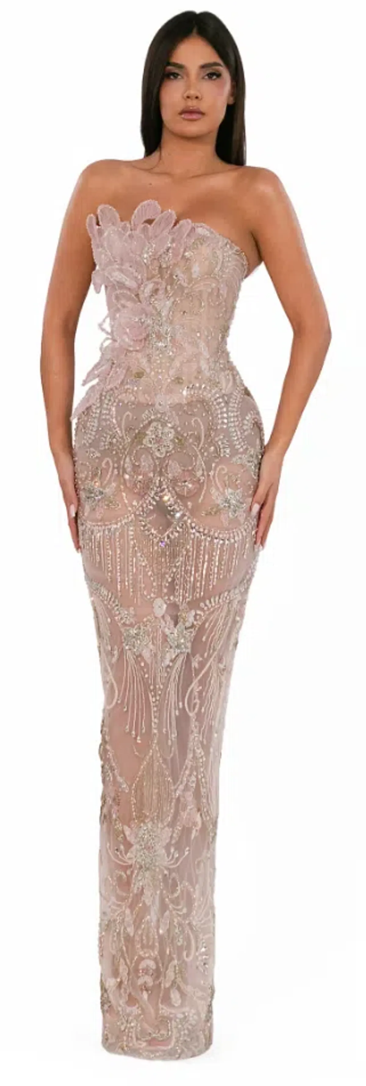 ALBINA DYLA  POWDER SHEER FLORAL CRYSTAL GOWN SIZE M - Image 1