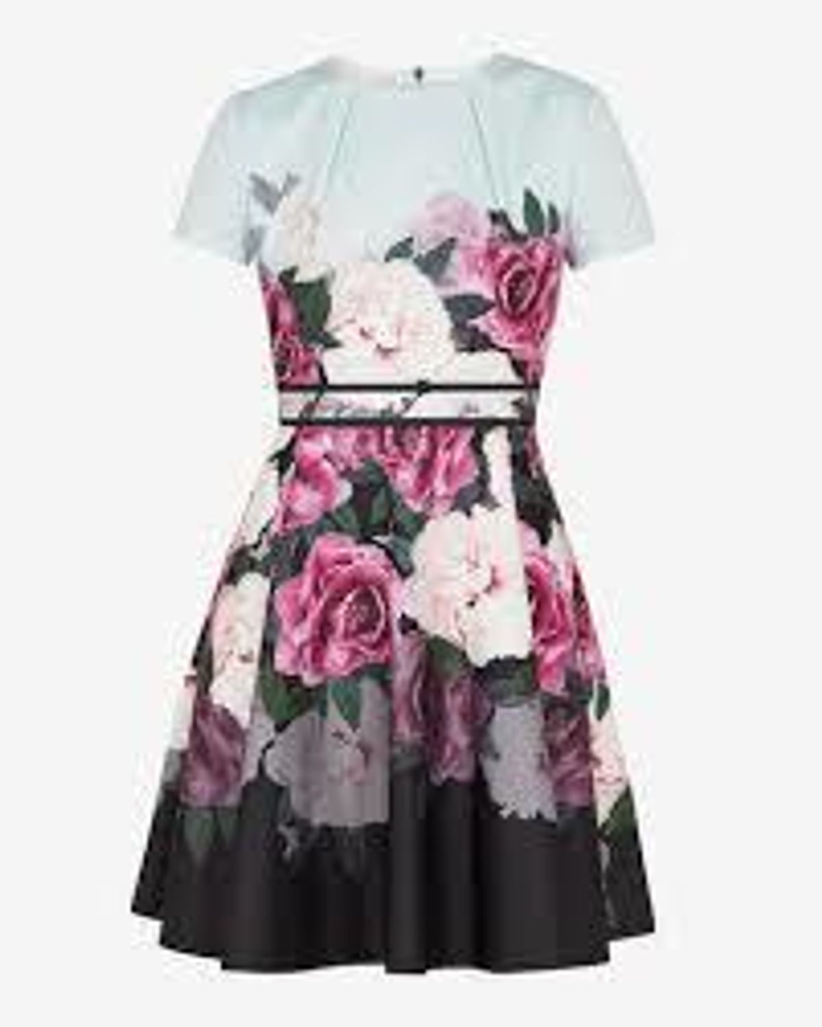 Ted Baker Wilmana Magnificent Dress size 10 - Image 3