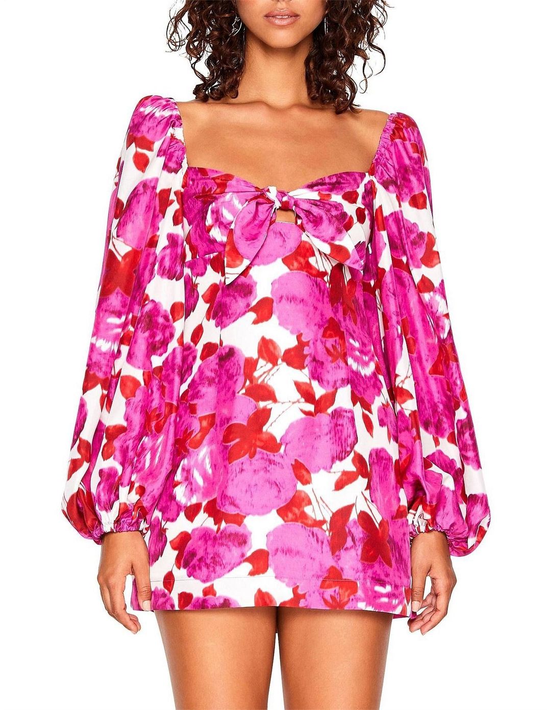 Alice McCall Lover to Lover Dress Print Size 6 for rent on The Volte - main image