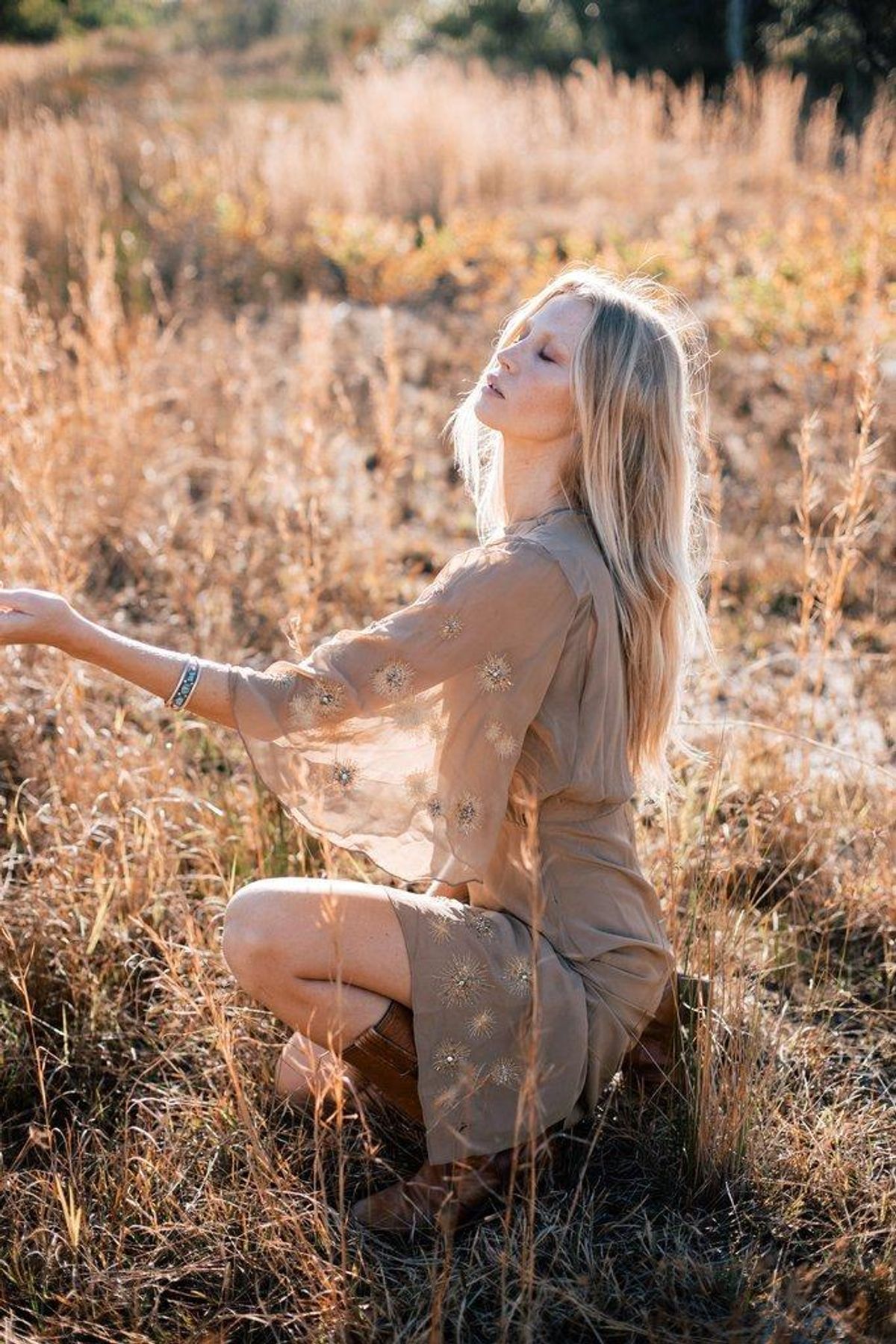 Chasing Unicorns Lucy in the Sky Cape Sleeve Dress Brown Size 8  - Image 1