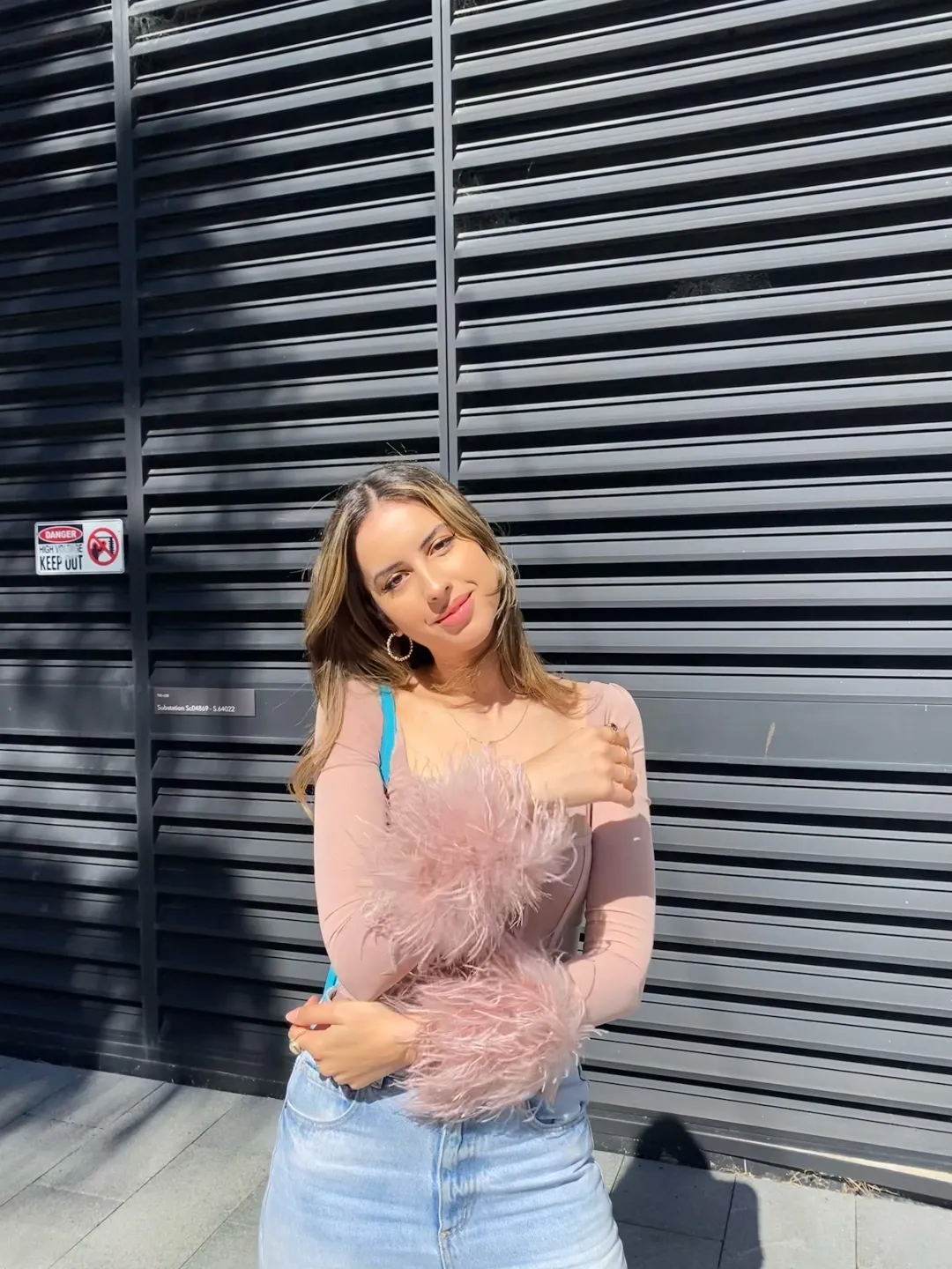 House of CB Stella Mesh Feather Trimmed Corset Blush Size XS / Au 6 for rent on The Volte - main image