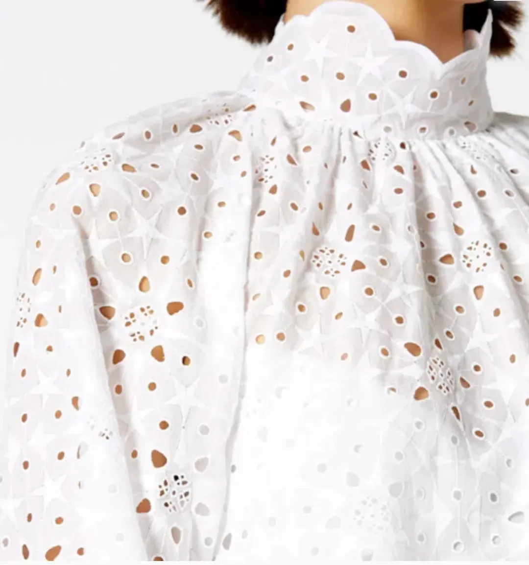 Scanlan Theodore Embroidered Cotton Mini Dress White Size 8 for rent on The Volte - main image