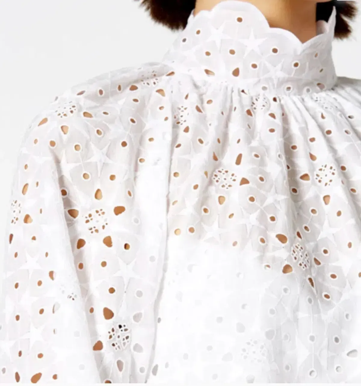 Scanlan Theodore Embroidered Cotton Mini Dress White Size 8 - Image 4