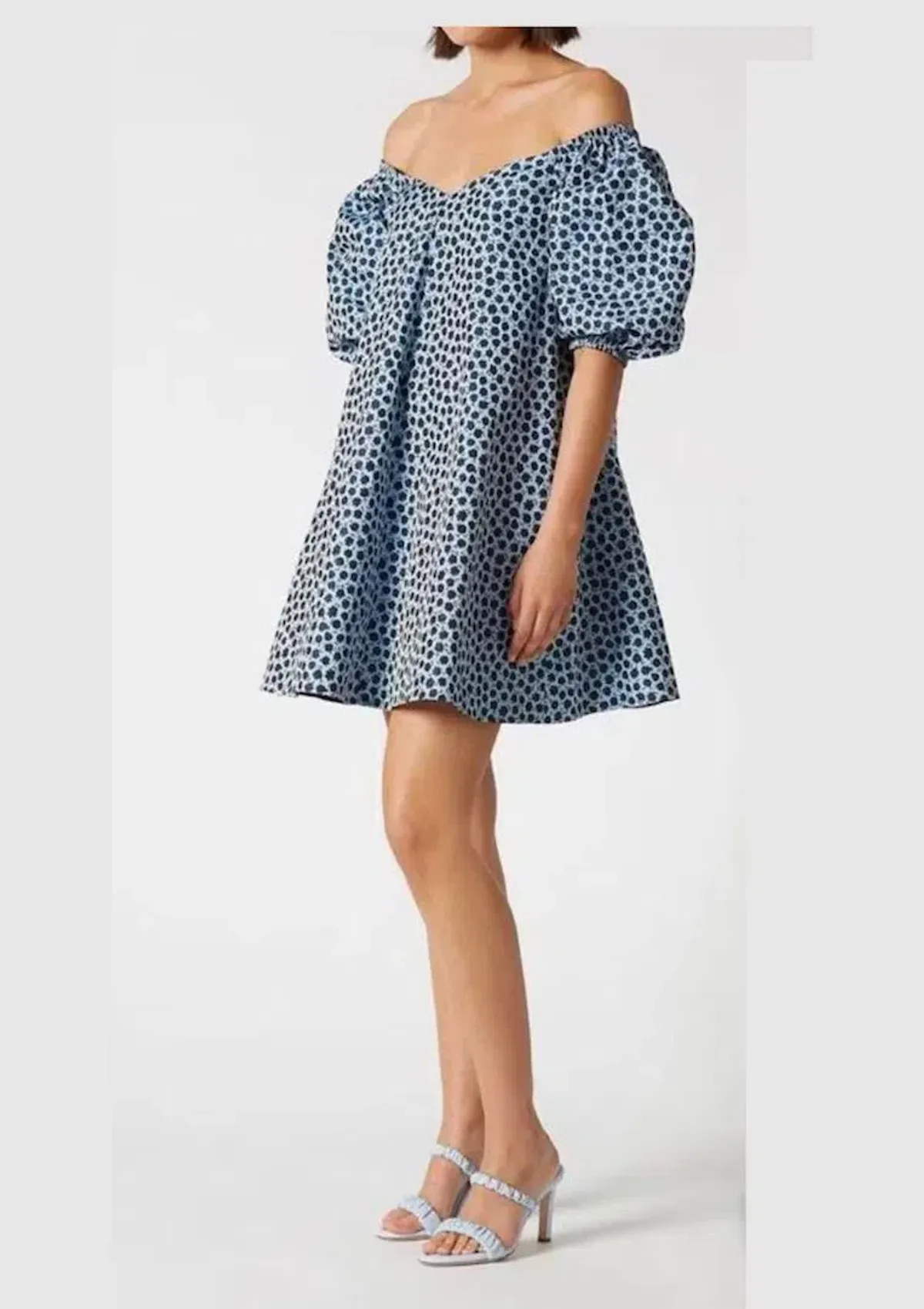 Scanlan Theodore Floral Trapeze Mini Dress Blue Size 6 - Image 1