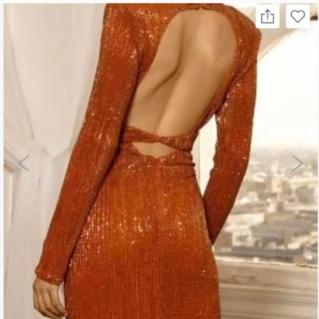 Abyss By Abby Virgo Mini Dress in Burnt Orange Size 8 for rent on The Volte - main image