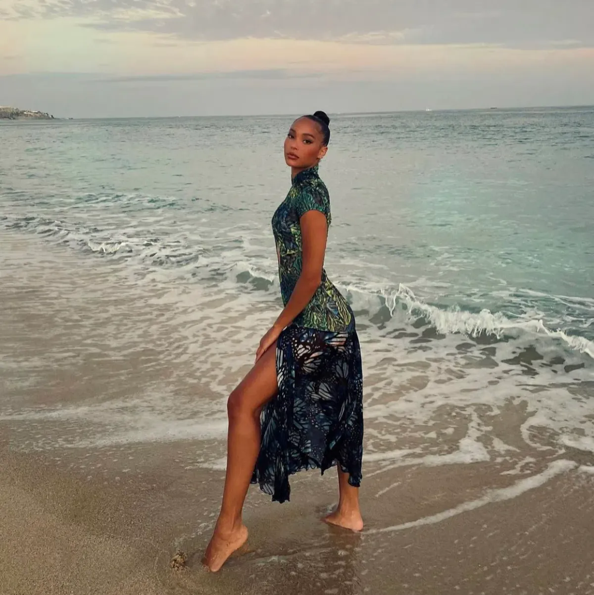 Kim Shui Lace Butterfly Dress Print Size 6  - Image 4