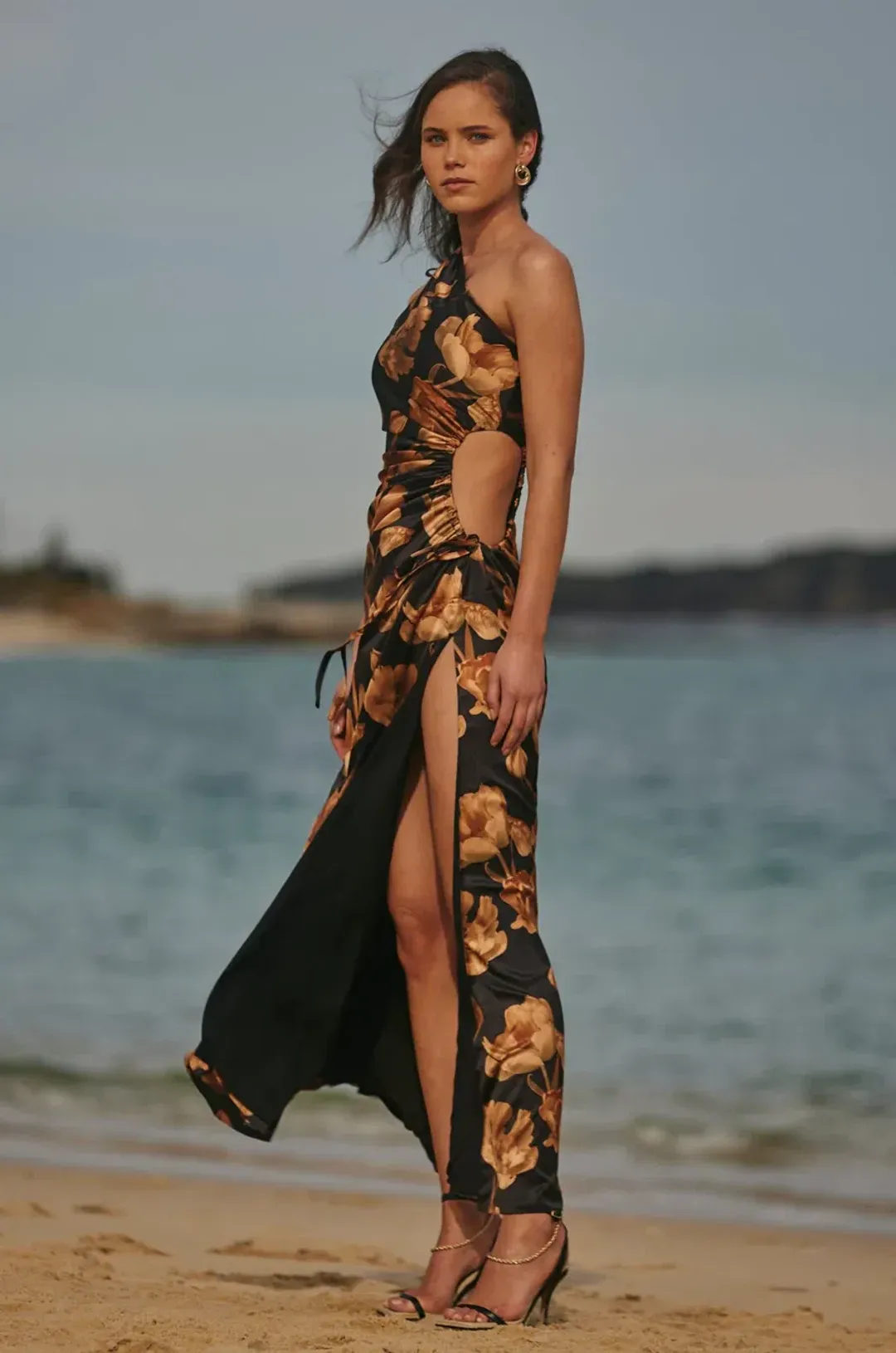 Sonya Nour Maxi Dress Marbella Print Size 6 / XS for rent on The Volte - main image