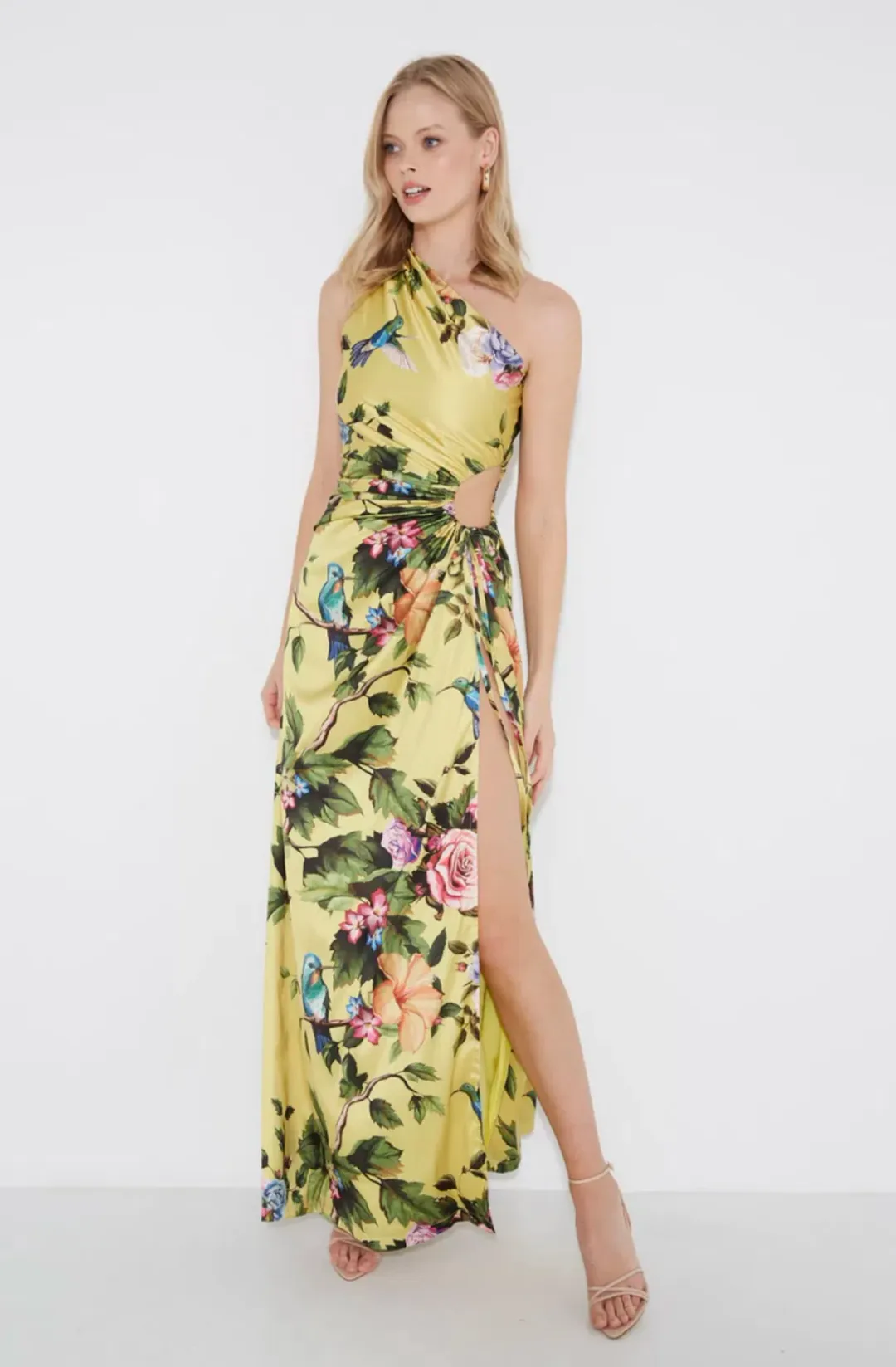 Sonya Moda Nour Royal Botanic Maxi Dress Print Size 8 for rent on The Volte - main image