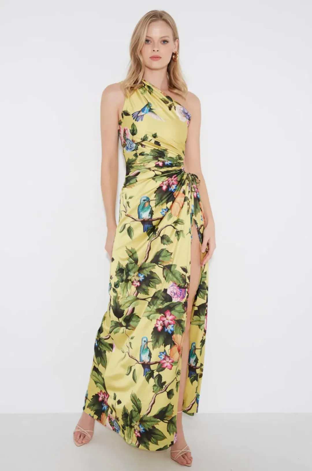 Sonya Moda Nour Royal Botanic Maxi Dress Print Size 8 for rent on The Volte - main image