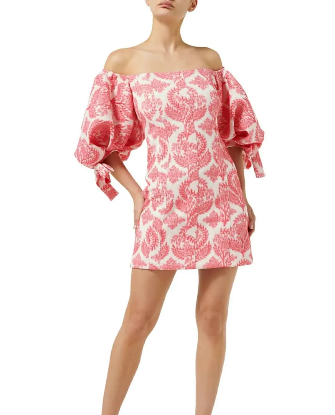 DIIDA Phoenix Brocade Mini Dress In Pink Size AU 6 for rent on The Volte - main image