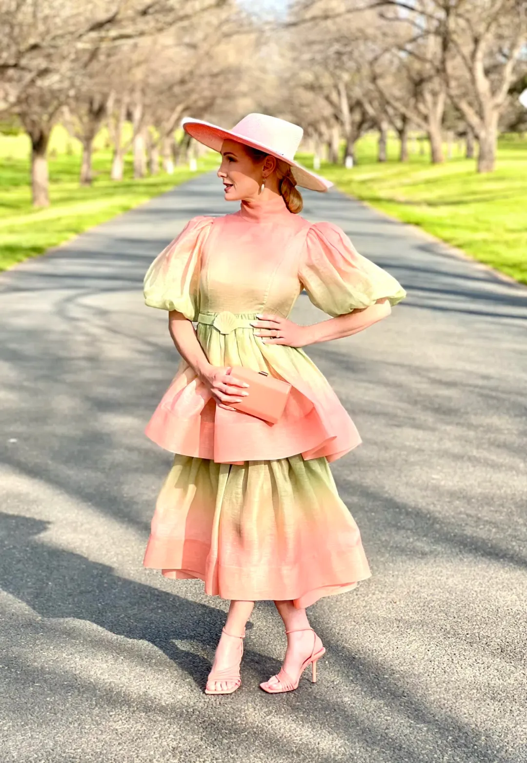 Zimmermann Postcard Puff Sleeve Midi Dress Ombre Watermelon Size 0P /Au 6 for rent on The Volte - main image