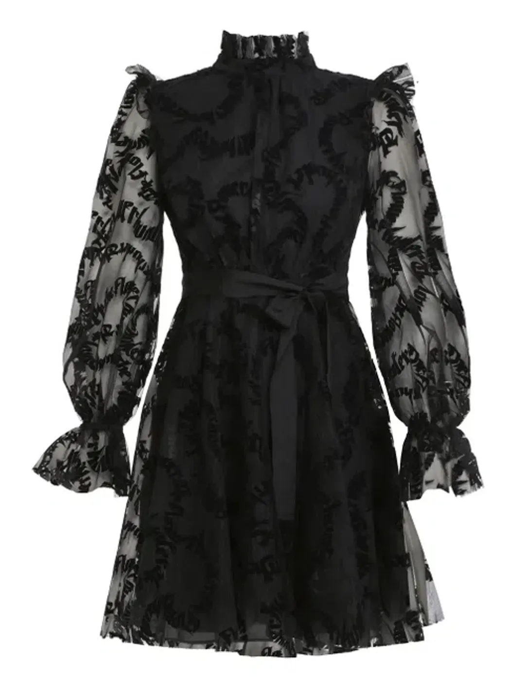Zimmermann Mesh Mini Dress Black Size 8 for rent on The Volte - main image