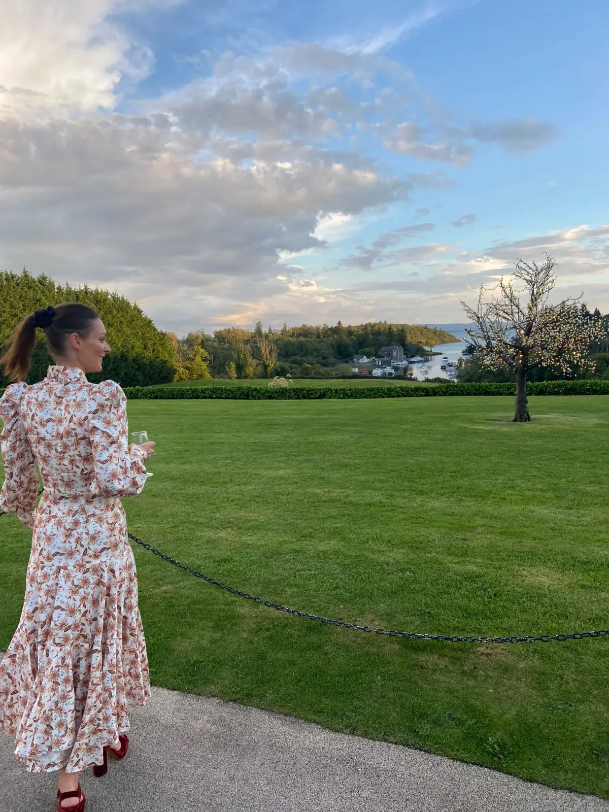 Acler Horrock Dress Floral Size 6 - Image 5