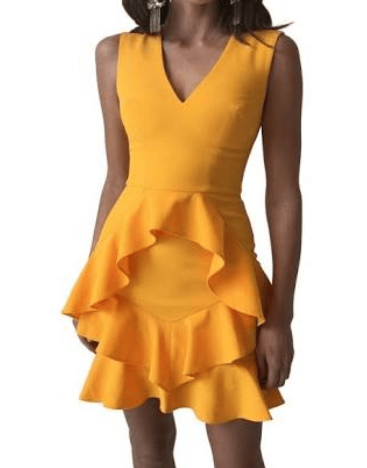 Rebecca Vallance Havana mini dress - Image 1