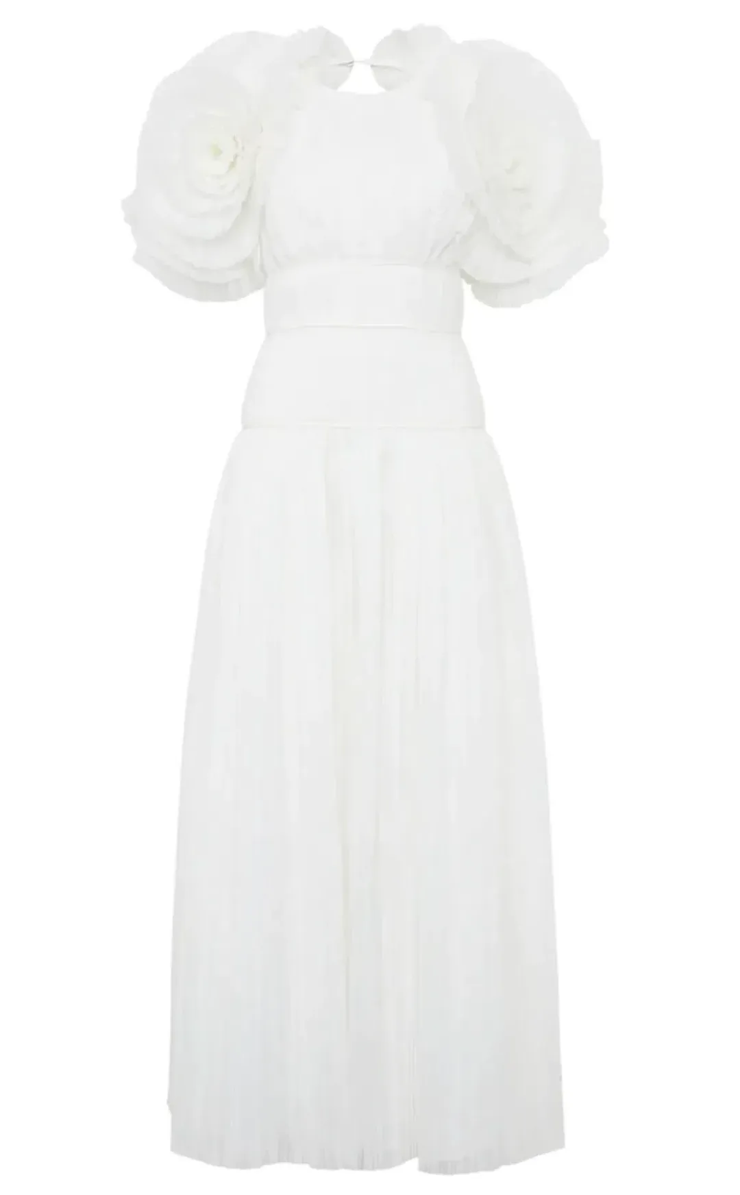 Aje Expressive Pleated Maxi Dress Ivory Size 8 / S for rent on The Volte - main image