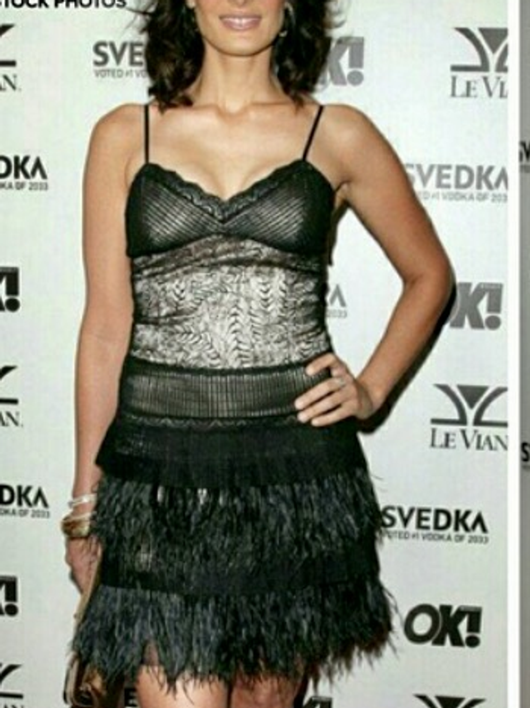 BCBGMAXAZRIA Lace and Ostrich Feather Flapper Style size 6 for rent on The Volte - main image