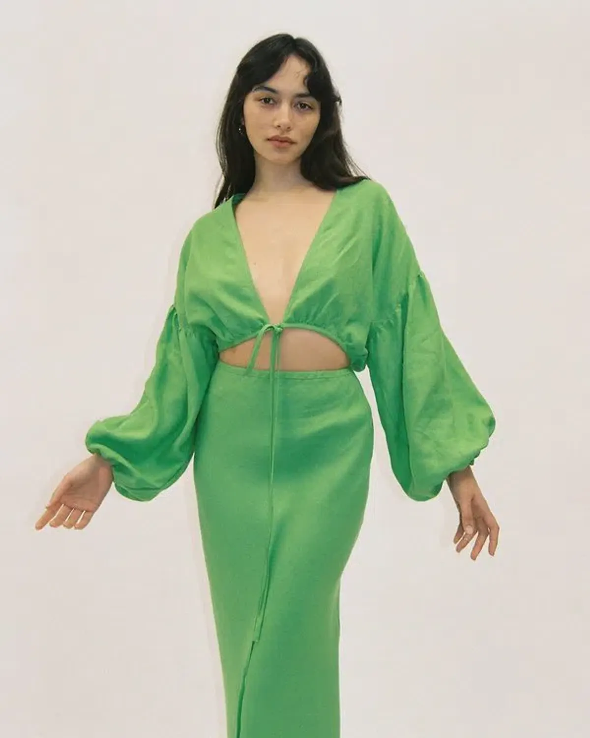 Dominique Healy Parakeet Wrap Top and Skirt Set Green Size 10 - Image 3
