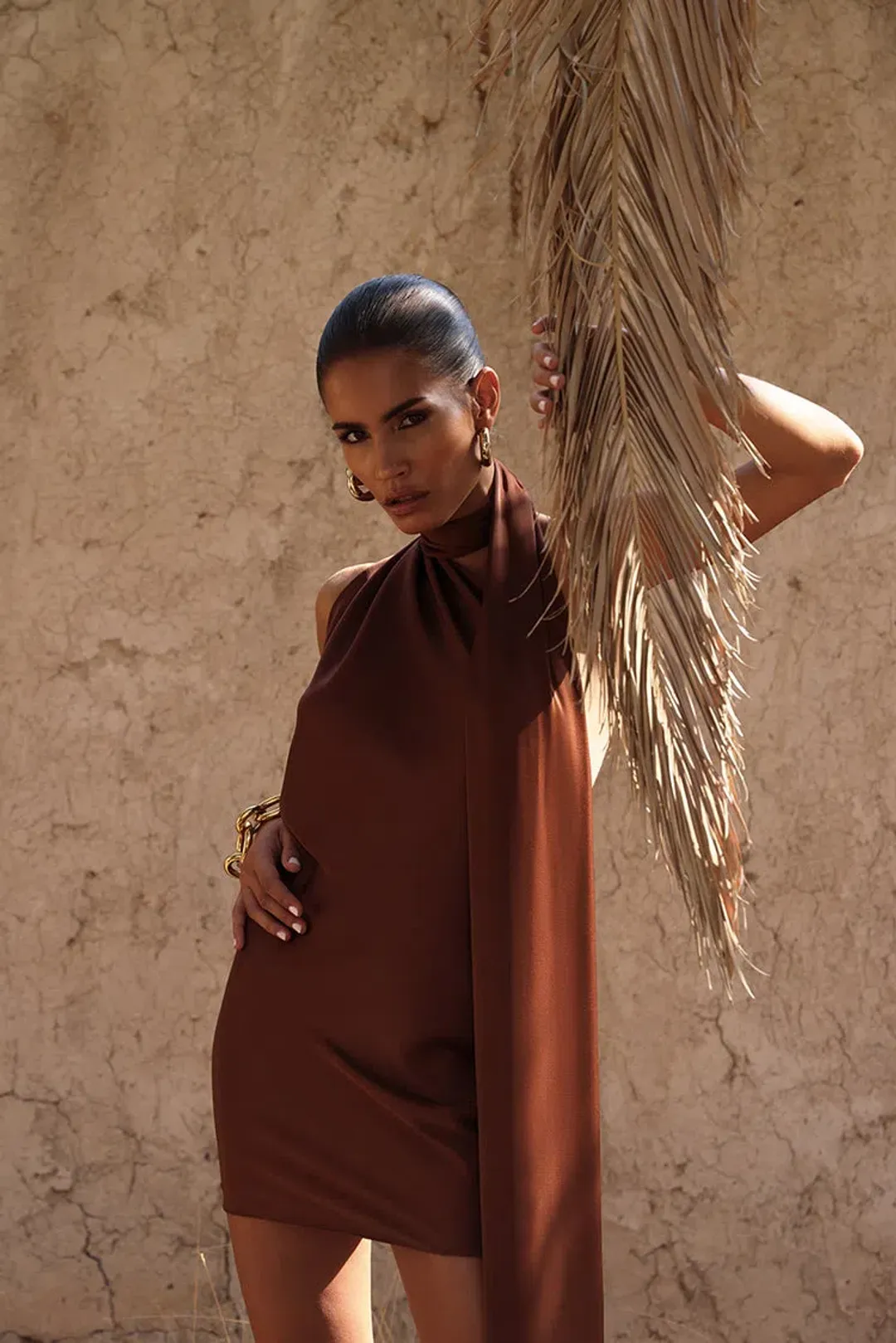 Rat & Boa Serafia Mini Dress Brown Size S/AU 8 for rent on The Volte - main image