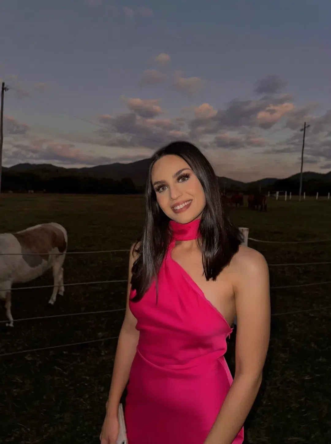 Misha Vivica Dress Pink Size 8 for rent on The Volte - main image