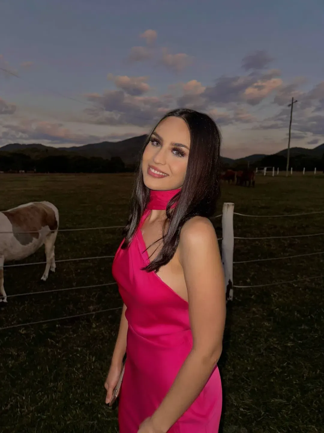 Misha Vivica Dress Pink Size 8 for rent on The Volte - main image