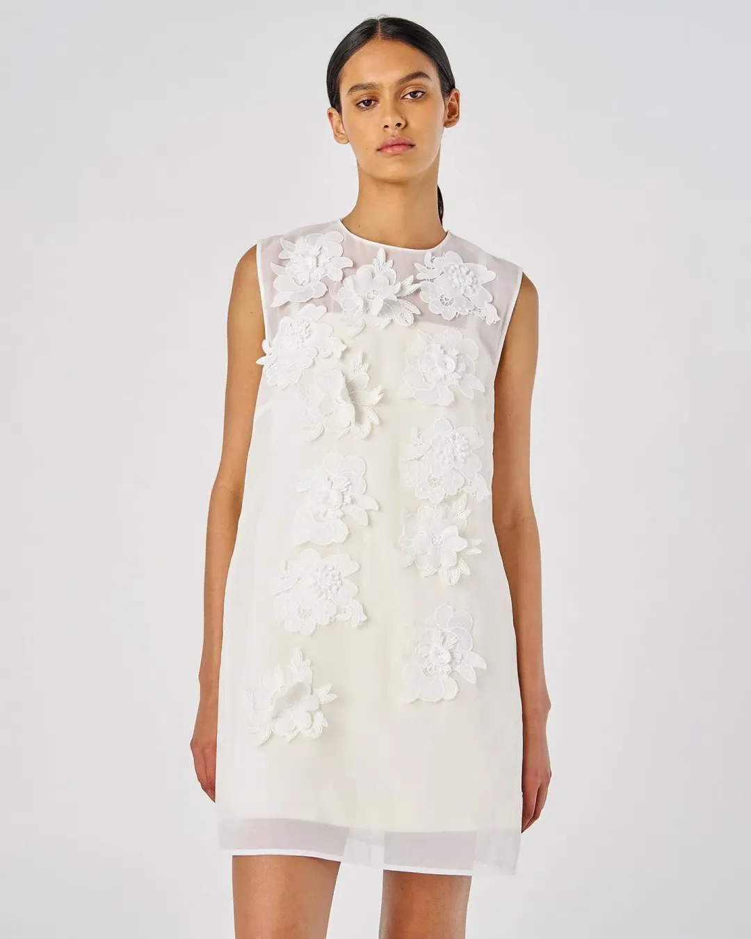 Oroton Lace Flower Sheer Mini Dress Soft Cream Size 14 for rent on The Volte - main image