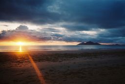 Nikita De Bortoli avatar